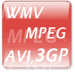 Video formats, wmv, mpeg1/2, avi, divx, 3gpp and etc.