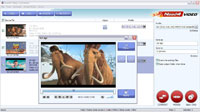 Screenshot - Need4 Video Converter