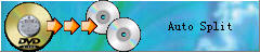 auto split