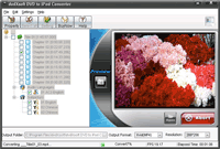 Screenshot - dvdXsoft DVD to iPod Converter