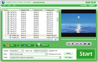 Screenshot - iOrgSoft DVD to Flash Converter
